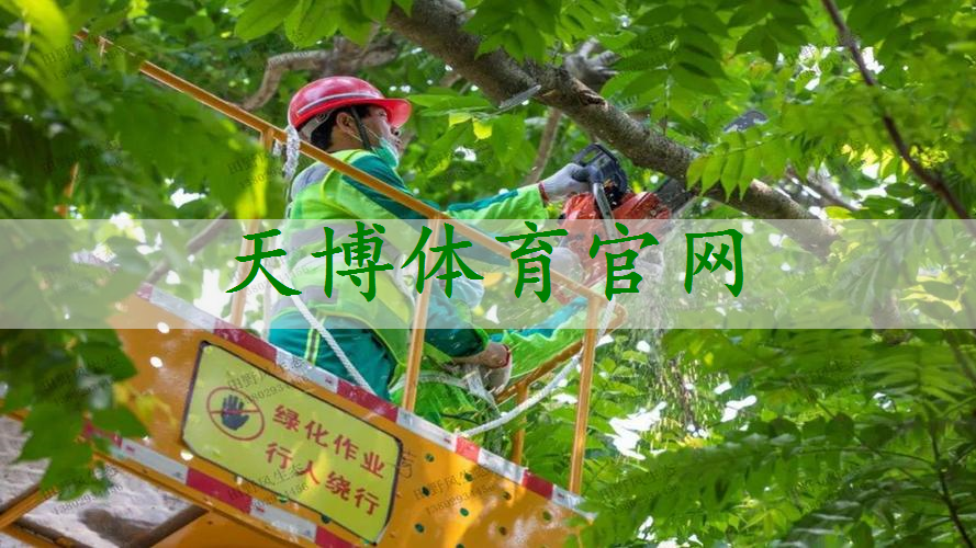 丹江口绿化苗木市场行情